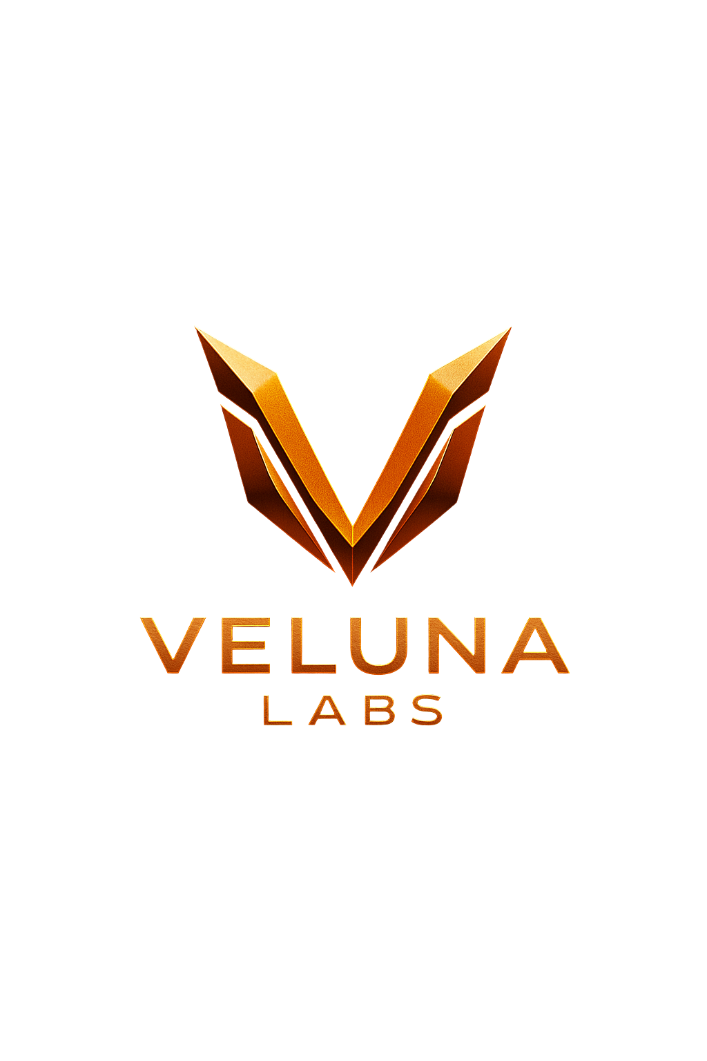 Veluna Labs Logo